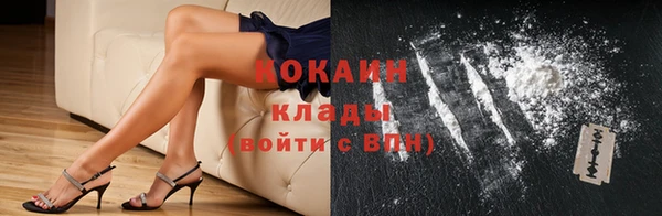ECSTASY Ельня
