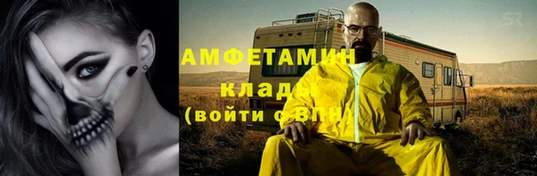 ECSTASY Ельня