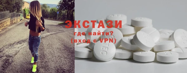 ECSTASY Ельня