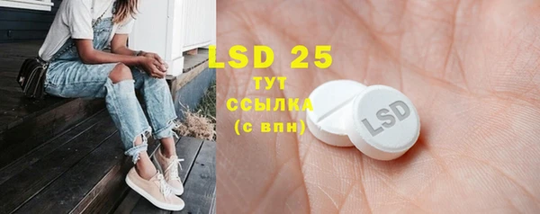 ECSTASY Ельня