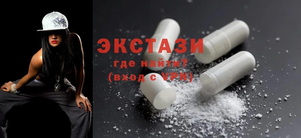 ECSTASY Ельня
