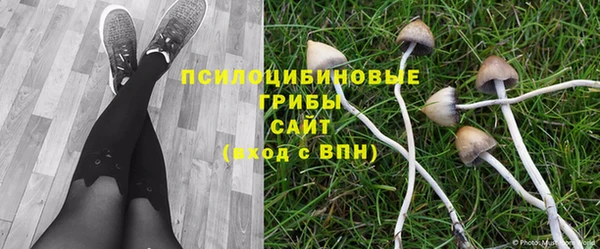 бутират Елабуга