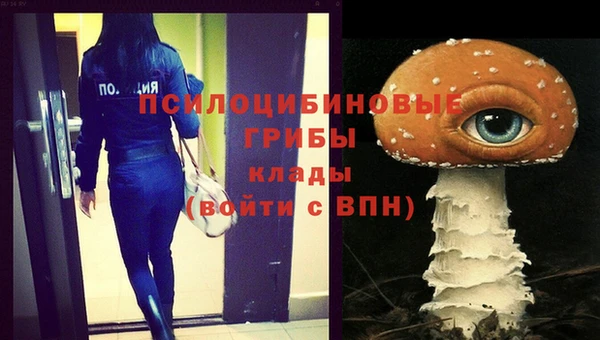 бутират Елабуга