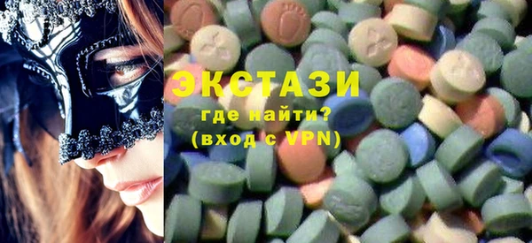 ECSTASY Ельня