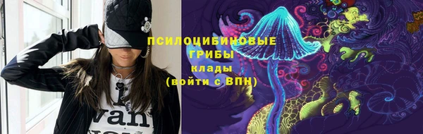 ECSTASY Ельня