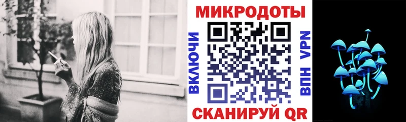 Галлюциногенные грибы Psilocybe  где продают наркотики  Севастополь 