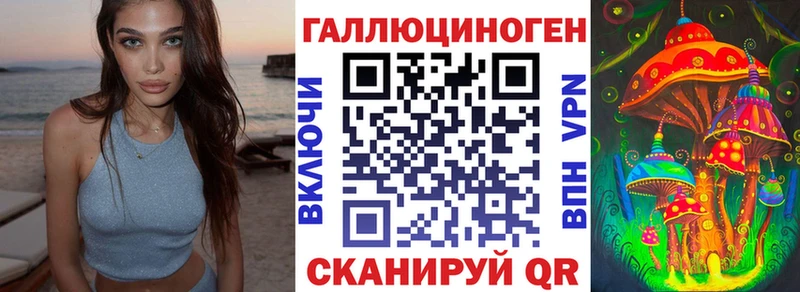 Галлюциногенные грибы Psilocybine cubensis Севастополь